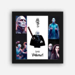 قاب لگو لرد ولدمورت (طرح2)